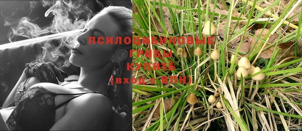 PSILOCYBIN Волоколамск