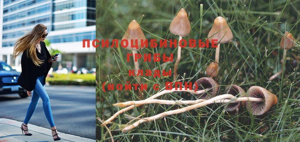 таблы Володарск