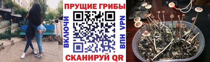 Галлюциногенные грибы прущие грибы  цена   Дмитров 